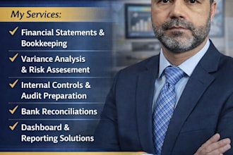 manage audit, finance and accounting tasks