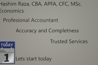 manage audit, finance and accounting tasks