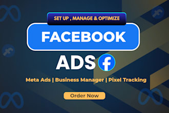 setup and manage professional meta ads campaign