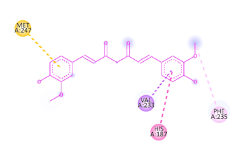 perform molecular docking with full analysis