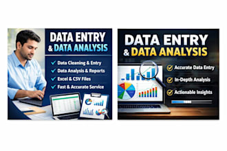 data analysis expert and data entry expert
