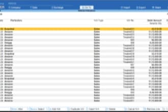provide accounting, gst filing, and tally bookkeeping services