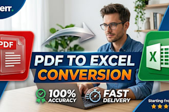 do expert PDF to excel conversion and data entry work