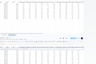 perform data cleaning, automate and create insightful spreadsheet data analysis