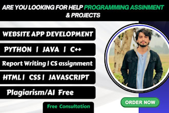 urgent programming assignment in python, java, cpp, c, html, css website project