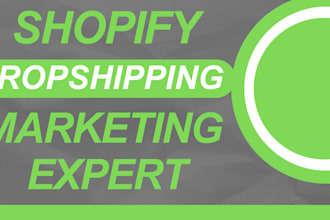 design your a stunning shopify store for you