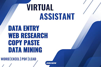 do microsoft excel data entry