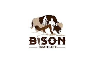 create a powerful iconic logo for a triathlon team training