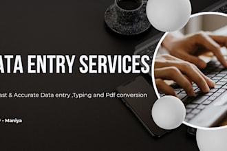 do fast and accurate data entry with on time delivery