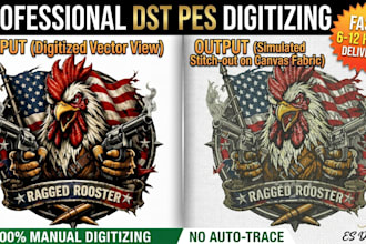 do complex dst pes embroidery digitizing for jacket back and tactical patches