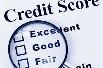 expert credit sweep and repair your credit report, boost score, inquiry removal