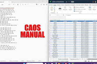 automatizare tus datos y entrada de datos usando script