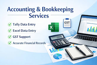 do bookkeeping in tally, gst return and accounting work professionally
