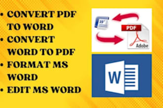 do professional PDF to word and excel conversion