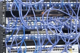 provide IT support and fix technical issues
