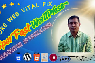 professionally optimize your wordpress website speed and fix core