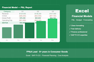 create or fix your excel financial model, budget or pnl tracker