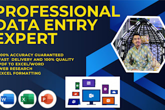 do professional data entry and excel data formatting