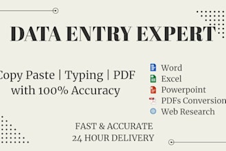 do accurate, fast and error free data entry, excel, copy paste work
