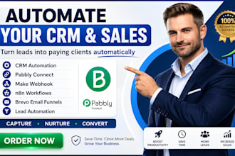 build CRM automation with pabbly connect, make webhook,n8n, brevo email funnels