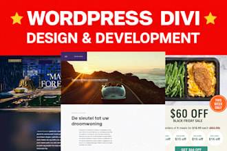 fix wordpress bugs elementor ,divi issues, website elementor, bugs, error, issue