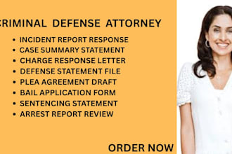 handle dui cases, assault charges, theft matters, and criminal defense issues