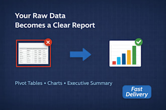 create professional excel reports and data summaries