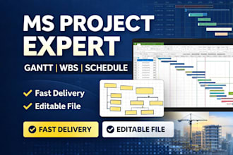 create professional ms project schedule, gantt chart and wbs