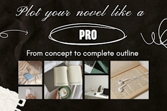 create a professional plot outline for your novel or story