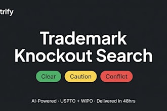 do a trademark knockout search and IP risk report
