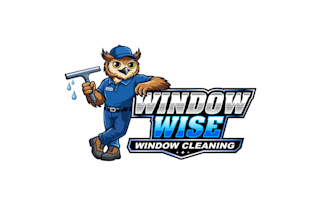design professional owl mascot premium window cleaning brand logo