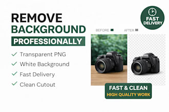 remove image background professionally