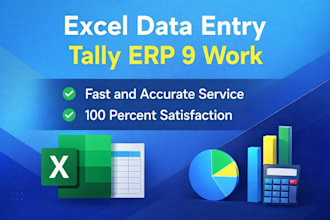 do excel work data entry and tally erp 9 accounting work