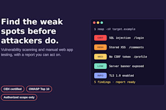 perform vulnerability assessment and web app penetration testing