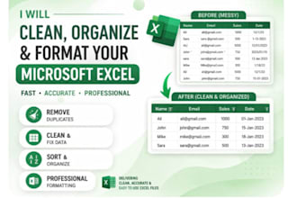 clean, organize and format your microsoft excel spreadsheet