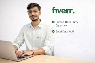 clean, format, merge, split, audit excel data