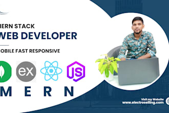 build mern stack web developer web app development