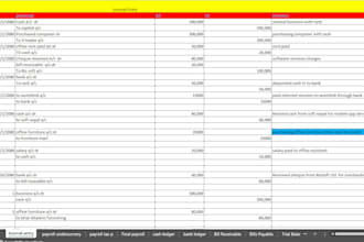 deliver professional excel reporting and accounting help