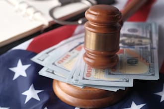 write on comparative politics, law,essay, criminal law and government