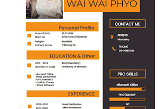data entry services with fast delivery
