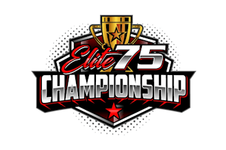 make a professional sports, esports, mascot, and championship logo design