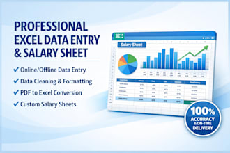 do professional excel data entry and create custom salary sheets