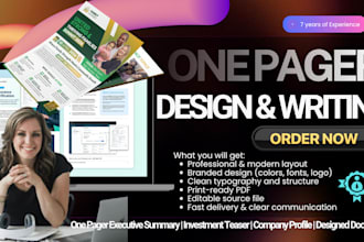 design, write one pager executive summary or investment teaser report