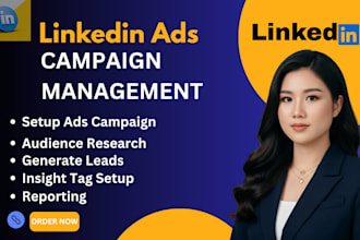 set up and optimize high converting linkedin ads campaigns