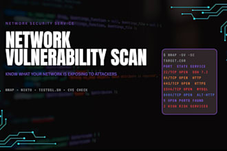 perform network vulnerability scan