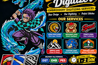 provide professional embroidery digitizing service