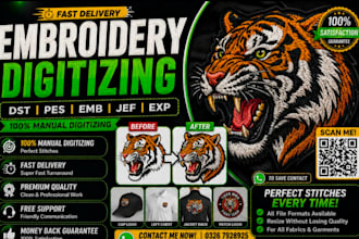provide professional embroidery digitizing service
