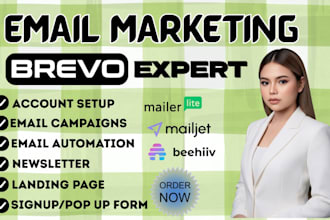 brevo expert email marketing automation mailchimp hubspot setup activecampaign