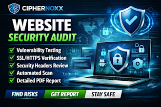perform a professional website security audit with a detailed report