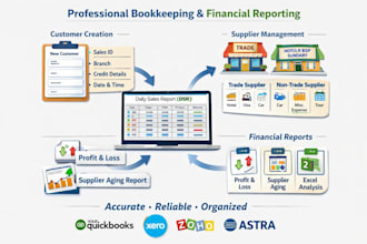 manage bookkeeping and financial report in quick books and xero